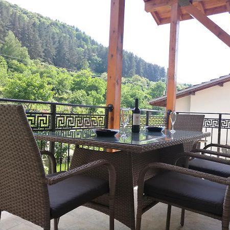 Forest Apartment Szapareva Banja Kültér fotó