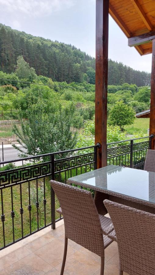 Forest Apartment Szapareva Banja Kültér fotó