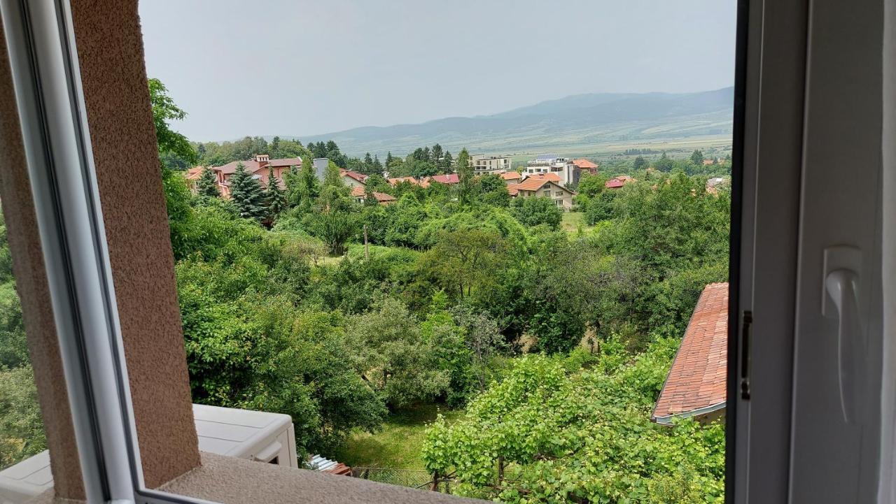 Forest Apartment Szapareva Banja Kültér fotó
