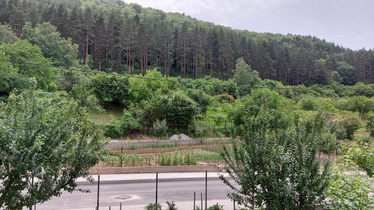 Forest Apartment Szapareva Banja Kültér fotó