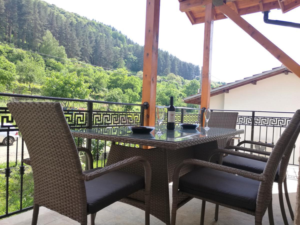 Forest Apartment Szapareva Banja Kültér fotó